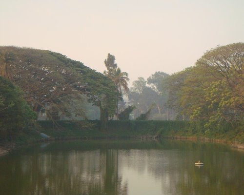 Peaceful nature environment for stress management